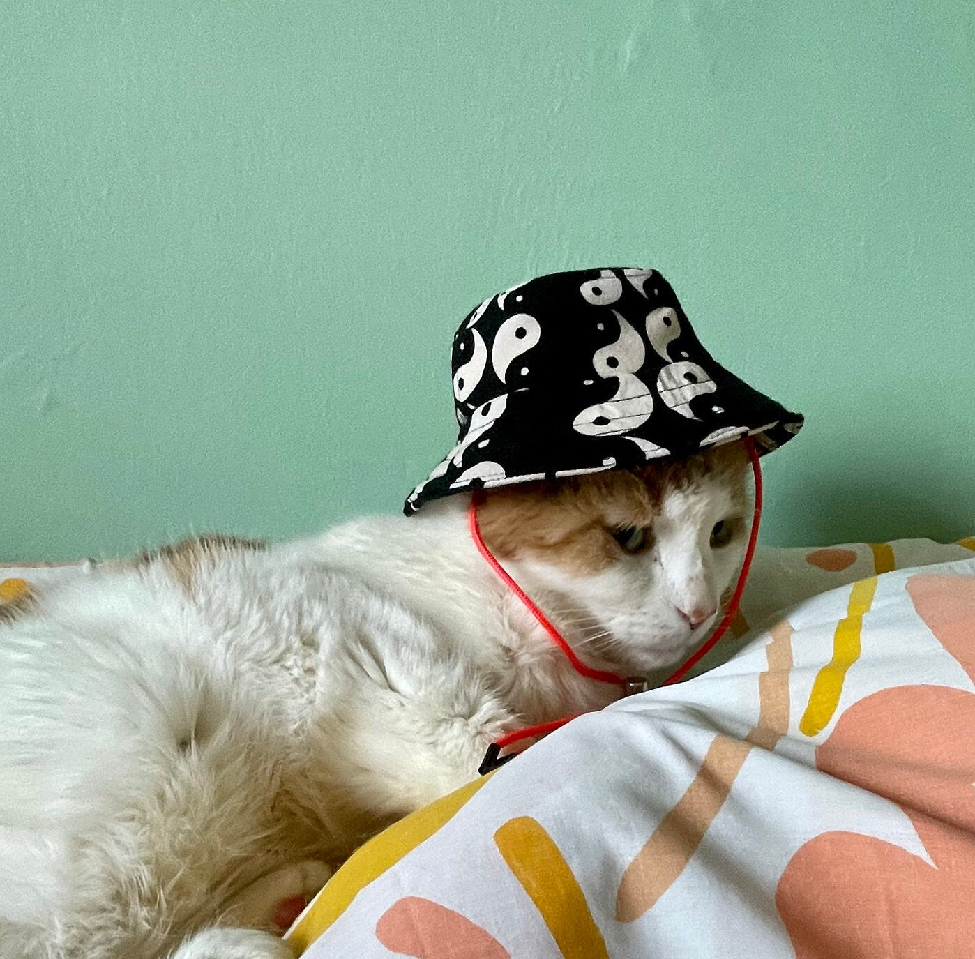 Tiny Bucket Hat for cats, small dogs, hair accessory, or to dress up kid's toys - made to order - yin yang -  one of a kind